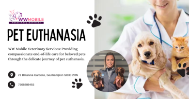 Understanding Pet Euthanasia | WW Mobile Veterinary Services