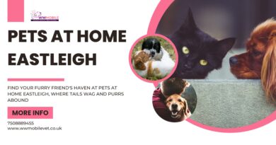 Top Pets at Home Eastleigh | WW Mobile Veterinary Services